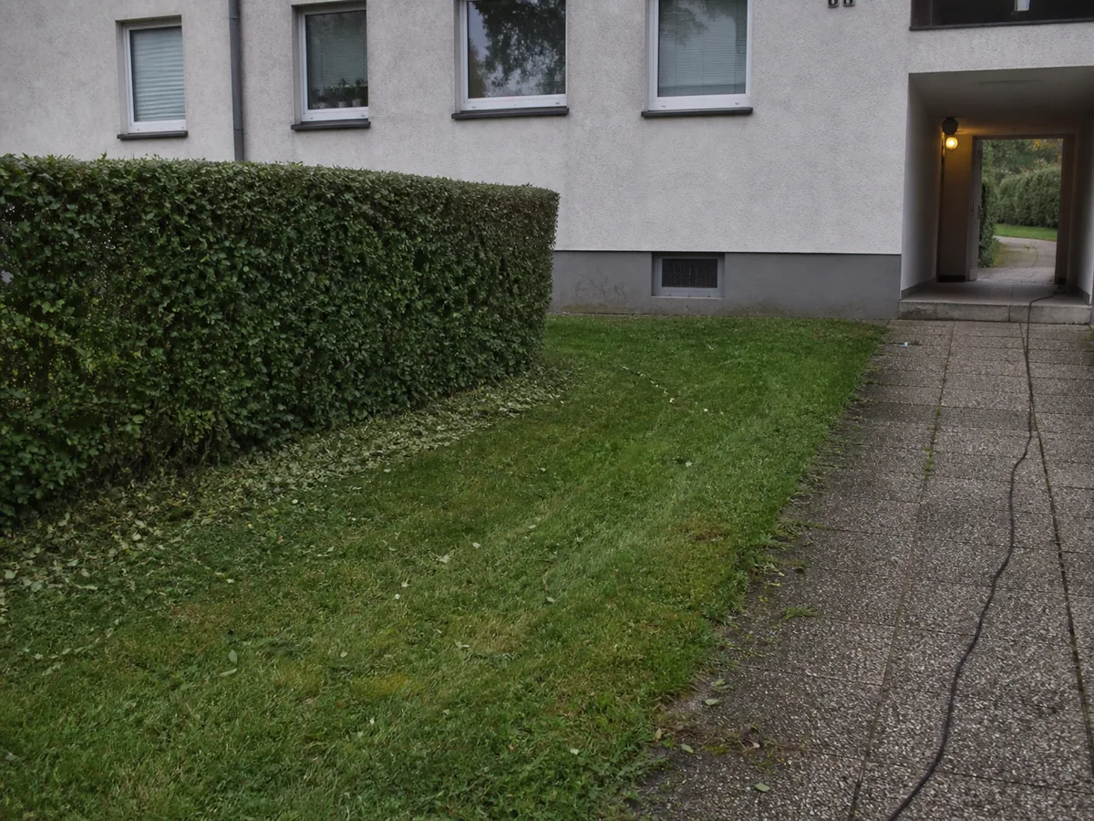 Gepflegte Außenanlage mit frisch geschnittener Hecke und gemähtem Rasen